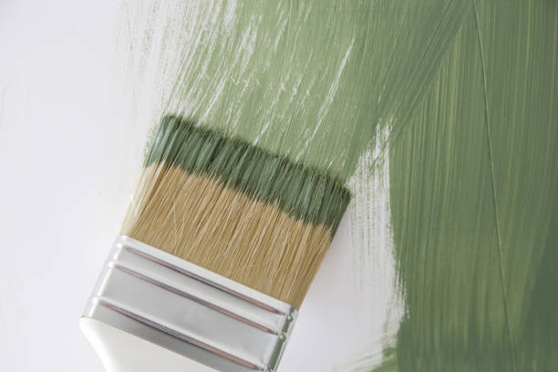 Best Environmental Consulting for Mold Prevention  in Charlevoix, MI