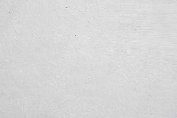 Best Basement Mold Removal  in Charlevoix, MI