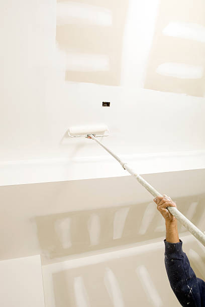 Reliable Charlevoix, MI Mold Removal Solutions
