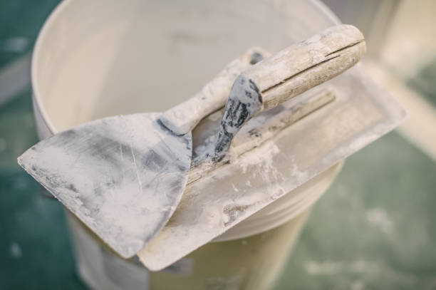  Charlevoix, MI Mold Removal Pros