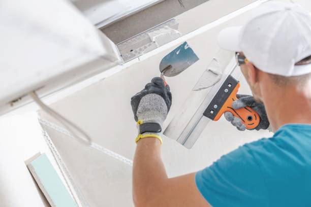 Mold Remediation for Vacation Homes in Charlevoix, MI